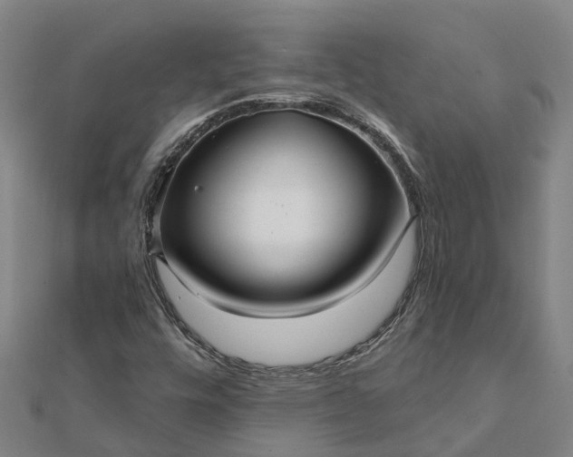 X0000112081448200908181232