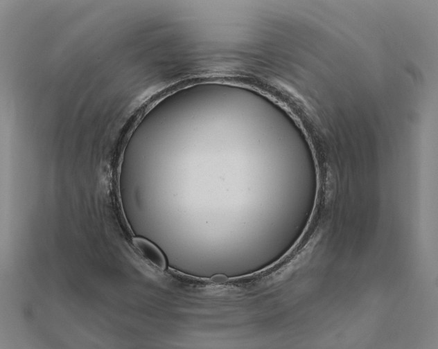 X0000112081449200908181232