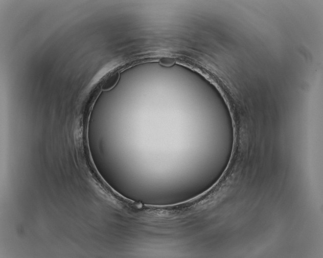 X0000112081450200908181232