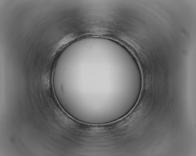 X0000112081451200908181232