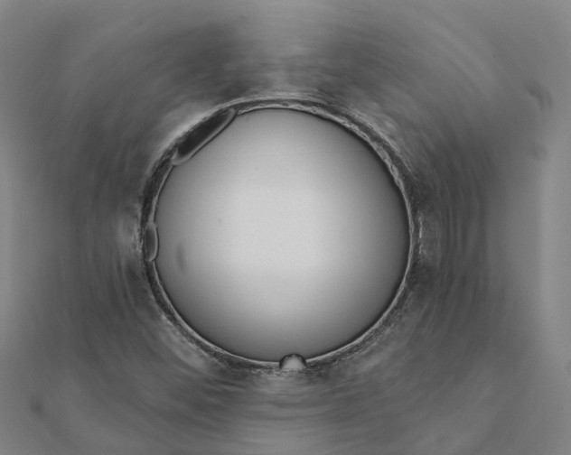 X0000112081452200908181232