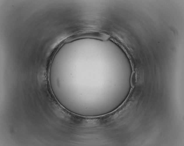 X0000112081453200908181232