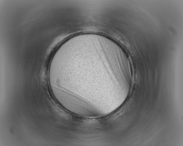 X0000112081454200908181232