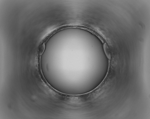 X0000112081456200908181232