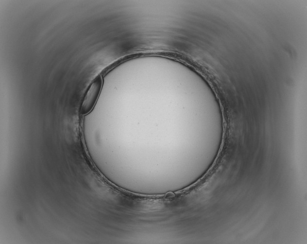 X0000112081457200908181231