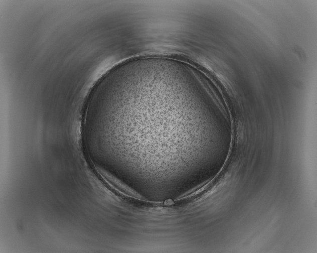 X0000112081459200908181231