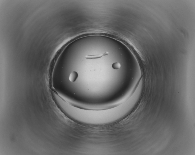 X0000112081460200908181231