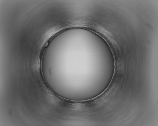 X0000112081461200908181231