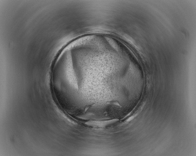 X0000112081463200908181231
