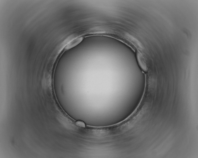 X0000112081465200908181231
