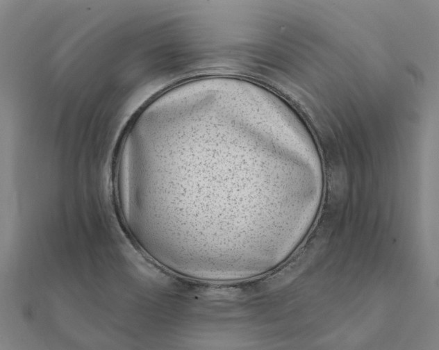 X0000112081466200908181231