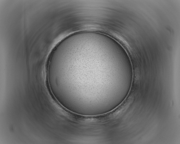 X0000112081467200908181231