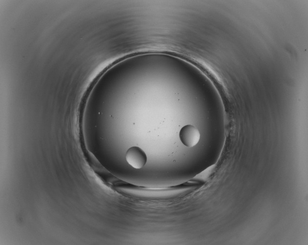 X0000112081468200908181231