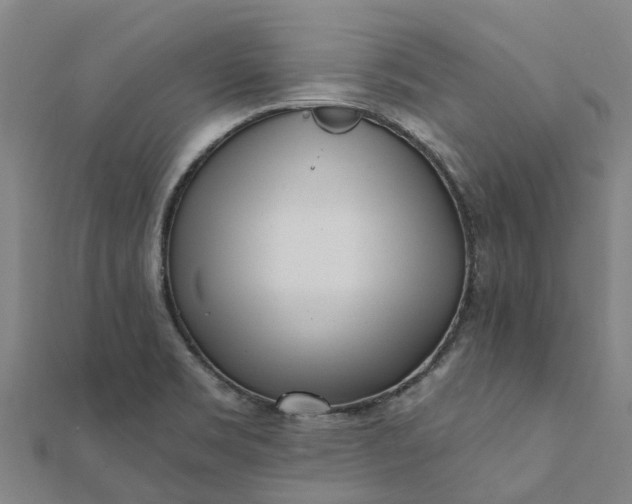 X0000112081469200908181231