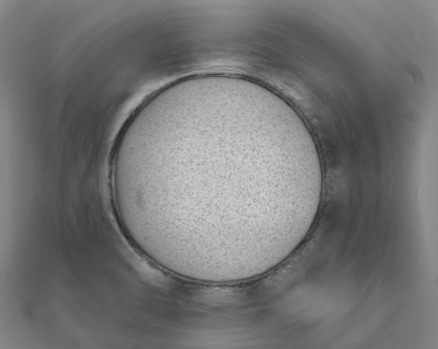 X0000112081470200908181231