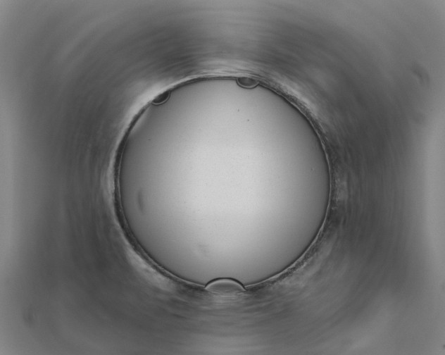 X0000112081471200908181231