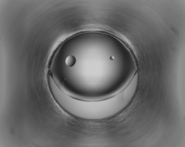X0000112081472200908181231