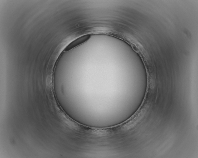 X0000112081473200908181231