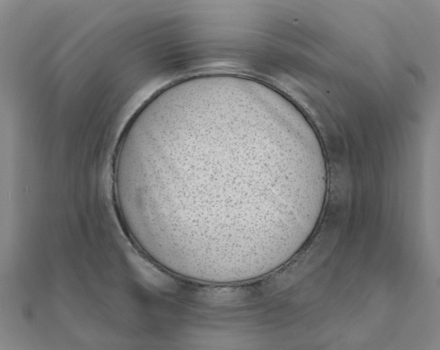 X0000112081474200908181231