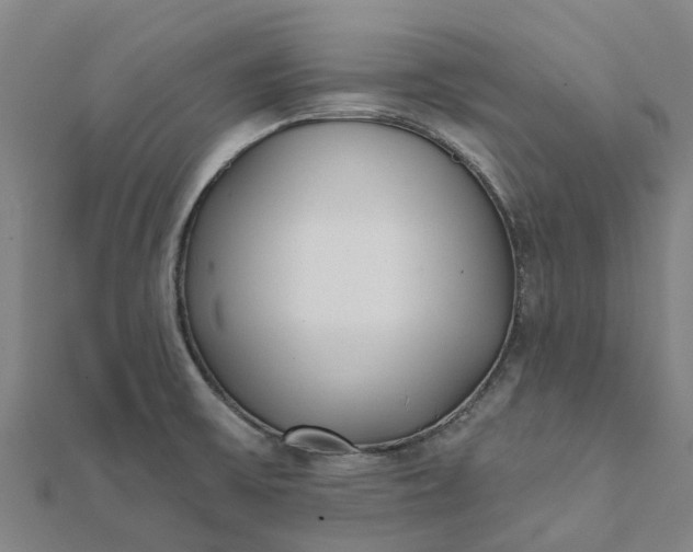 X0000112081475200908181231