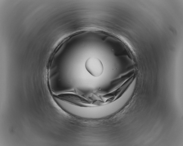 X0000112081476200908181231