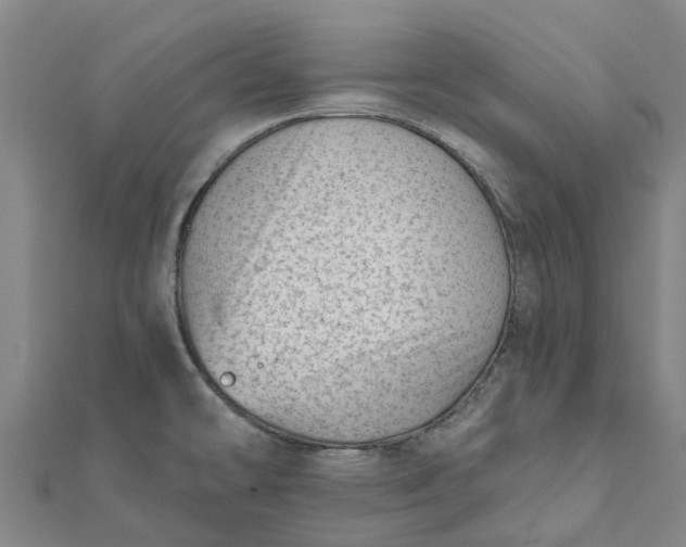 X0000112081478200908181231