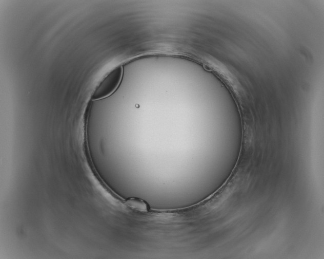 X0000112081479200908181231