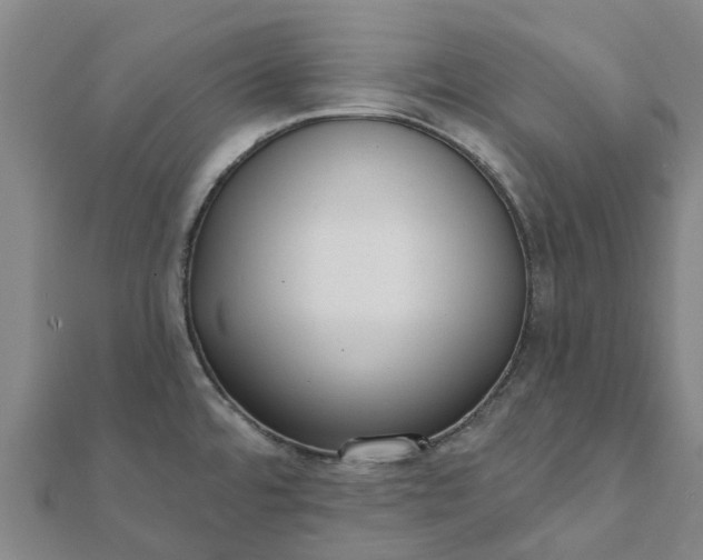 X0000112081480200908181231