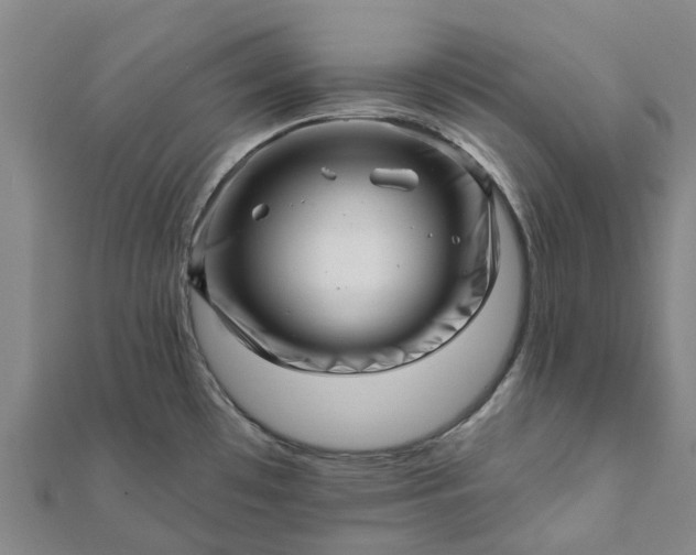 X0000112081481200908181231