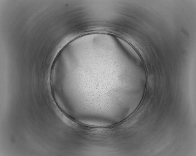 X0000112081482200908181231