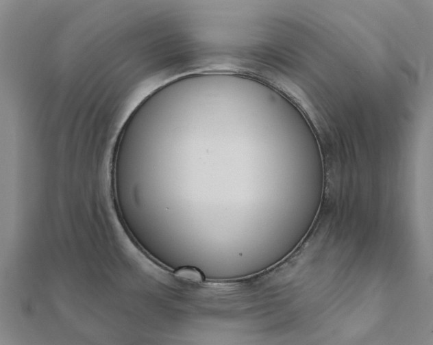 X0000112081483200908181231