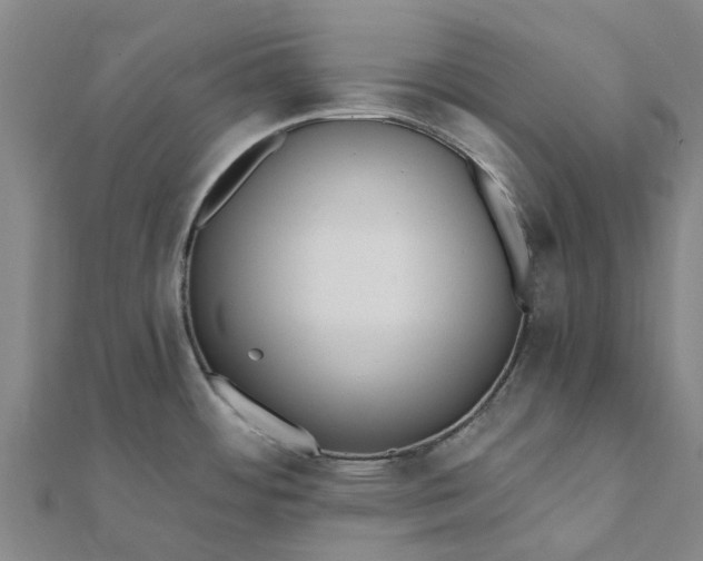 X0000112081484200908181231