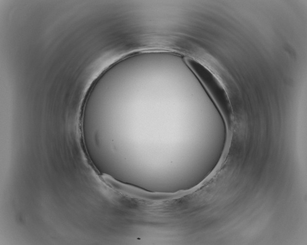 X0000112081485200908181231
