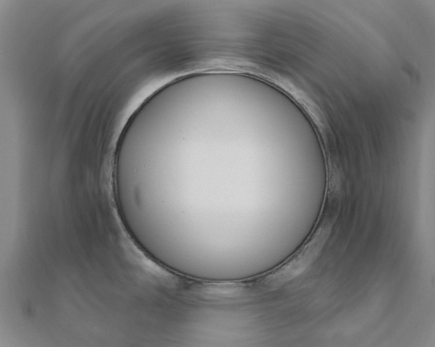 X0000112081486200908181231