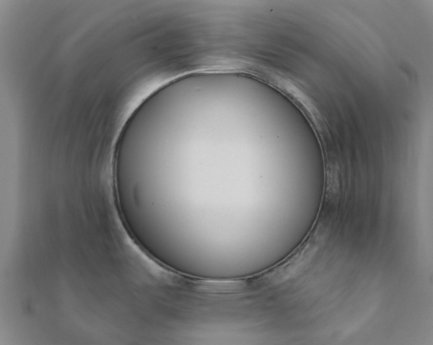 X0000112081487200908181231