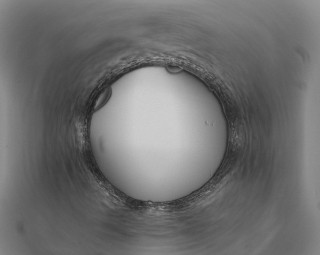 X0000112081490200908181230