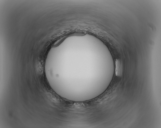 X0000112081491200908181230
