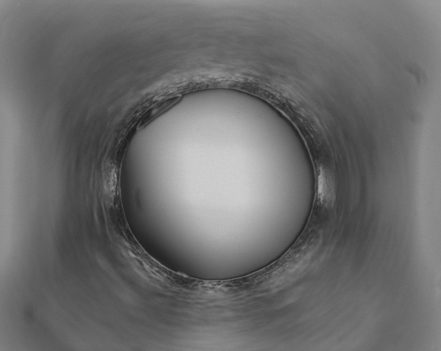 X0000112081492200908181230