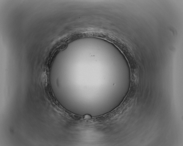 X0000112081493200908181230