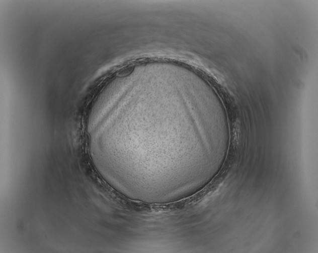 X0000112081494200908181230