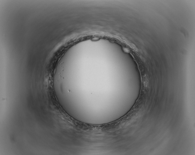 X0000112081495200908181230