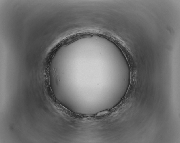 X0000112081496200908181230