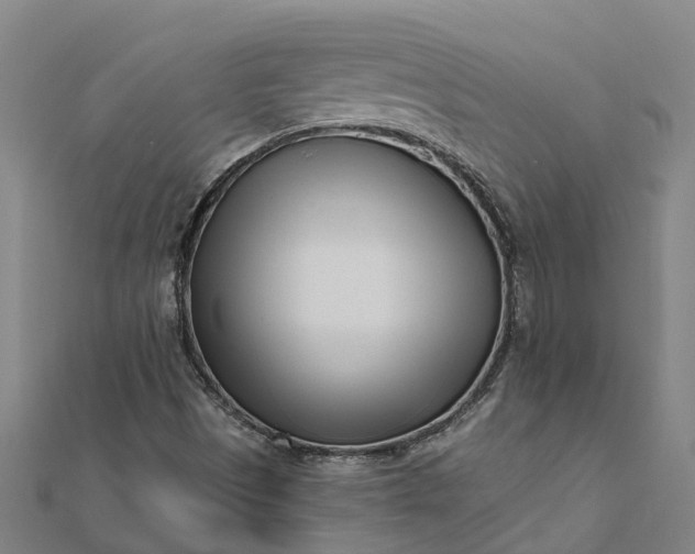 X0000112081497200908181230