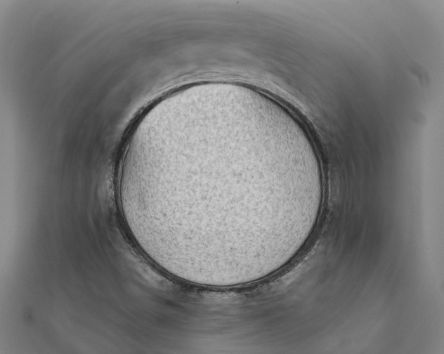 X0000112081498200908181230