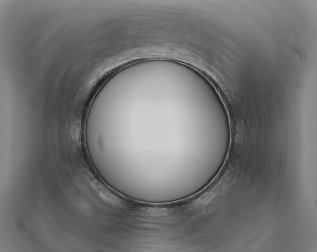 X0000112081499200908181230