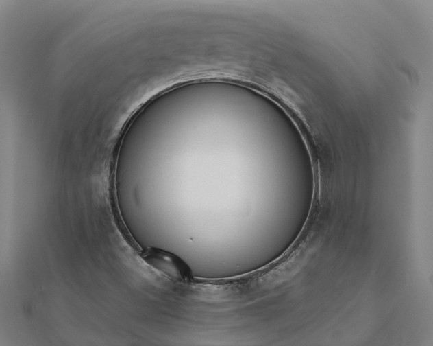 X0000112081500200908181230