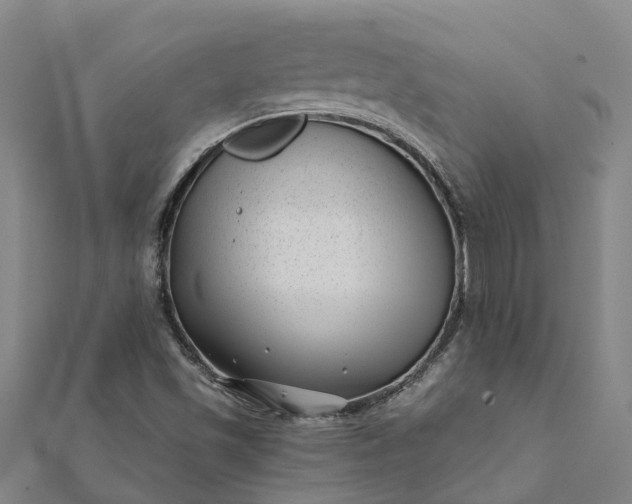 X0000112081501200908181230