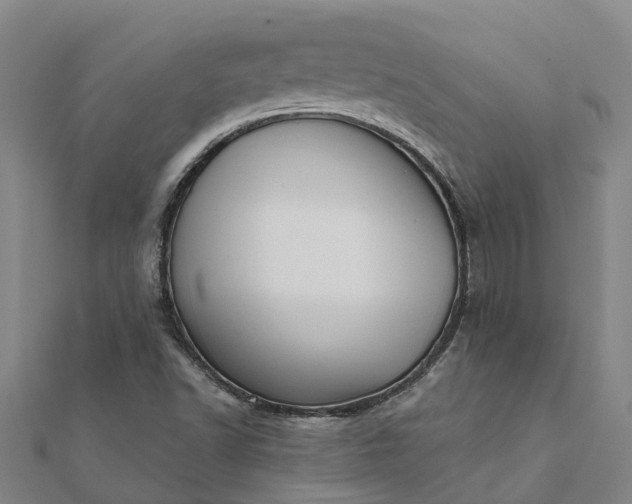 X0000112081502200908181230