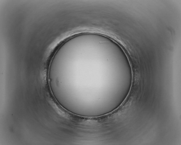 X0000112081503200908181230