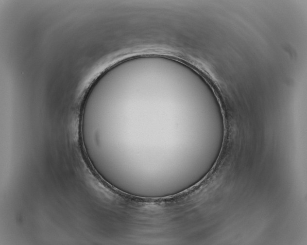 X0000112081504200908181231